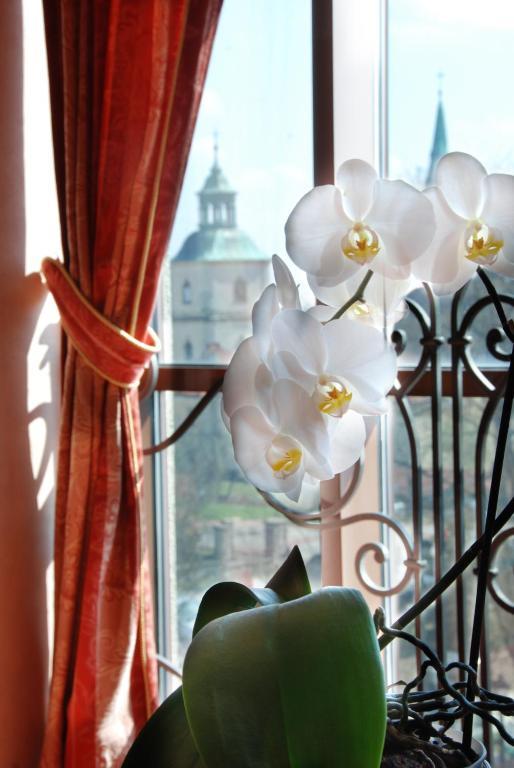Hotel Basztowy Sandomierz Kültér fotó
